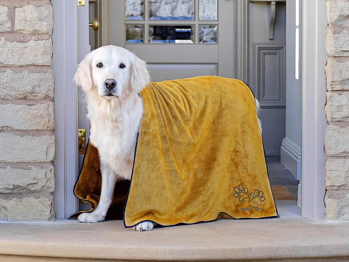 Lucky Paws® Hundehandtuch - 140x70cm XL Hundehandtuch extra saugfähig - schnell trocknend, luxuriös