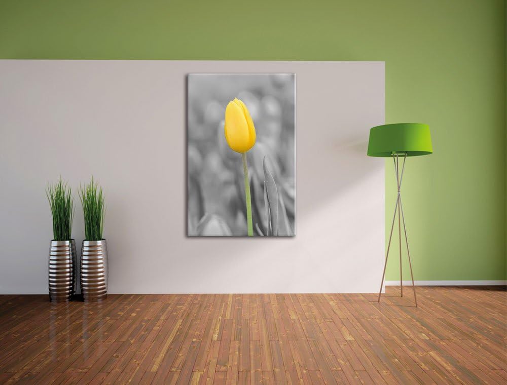 Pixxprint Gelbes Tulpenmeer schwarz/weiss als Leinwandbild/Grösse: 120x80 cm/Wandbild/Kunstdruck/fer