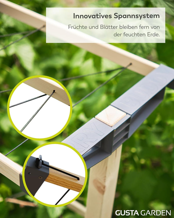 Gusta Garden Berry Buddy - Flexible Rankhilfe für Beeren: Himbeeren, Brombeeren & Heidelbeeren, erwe