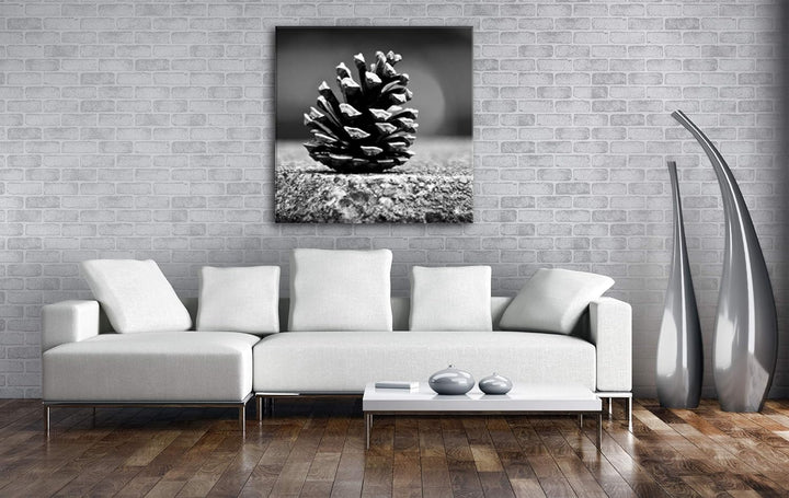 deyoli kleine Tannenzapfen im Format: 60x60 Effekt: Schwarz&Weiss als Leinwandbild, Motiv auf Echtho