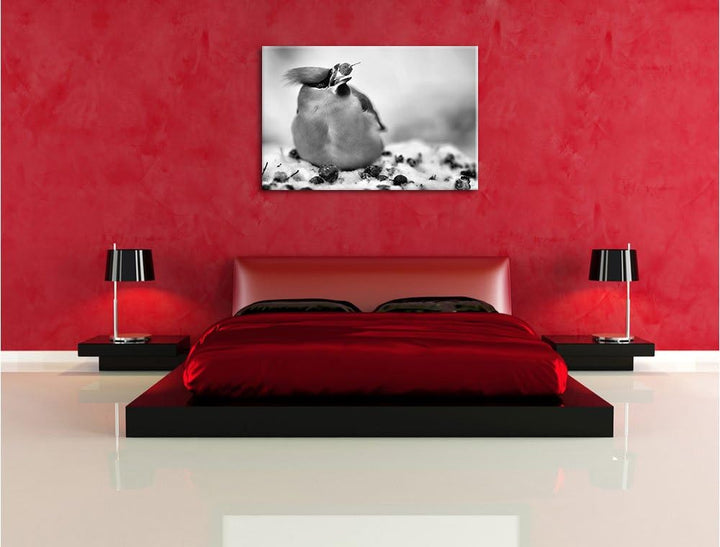 Pixxprint Kleiner Vogel im Schnee / 100x70cm Leinwandbild bespannt auf Holzrahmen/Wandbild Kunstdruc