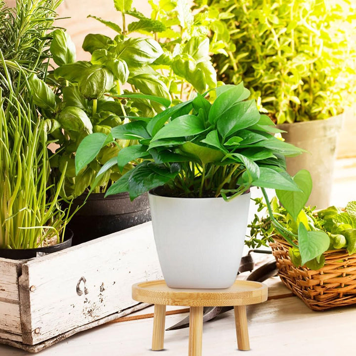 Pflanzenständer für den Innenbereich Holz Blumentopfständer Garten Blumentopferhöhung Präsentationss