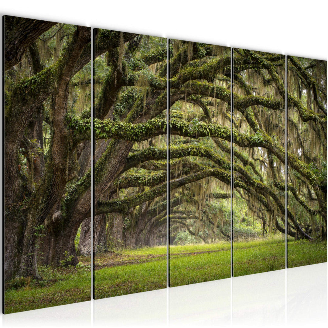 Runa Art Bild Wald Landschaft Wandbilder auf Vlies Leinwand 5 Teilig Wanddekoration Schlafzimmer Woh