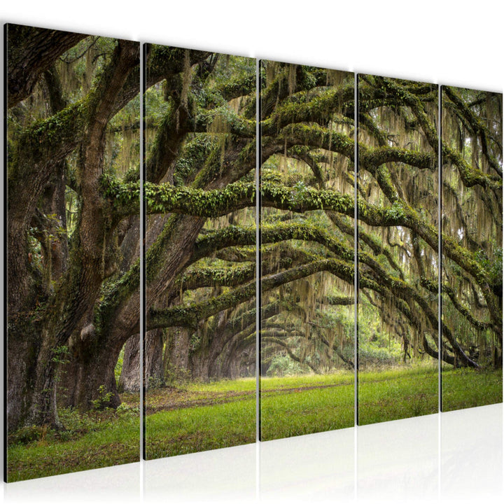 Runa Art Bild Wald Landschaft Wandbilder auf Vlies Leinwand 5 Teilig Wanddekoration Schlafzimmer Woh