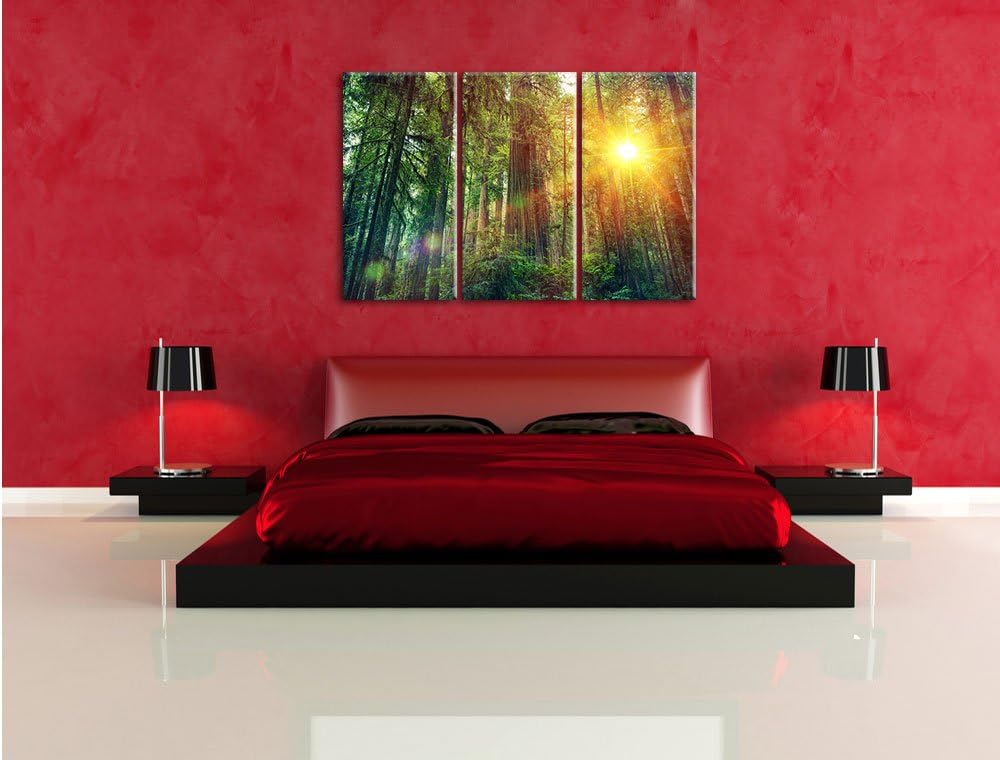 Pixxprint Wald bei Sonnenlicht / 3-Teilig/Gesamtmass 120cm Leinwandbild bespannt auf Holzrahmen/Wand