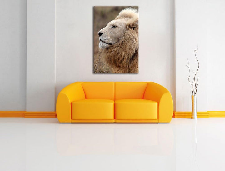 Weisser Löwe, Format: 80x120 auf hochkantiges Leinwand, XXL riesige Bilder fertig gerahmt mit Keilra