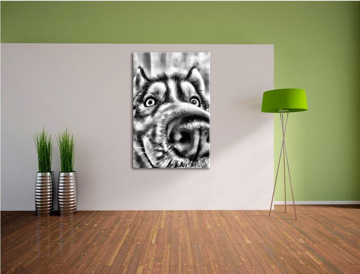 Pixxprint Glücklicher Husky / 100x70cm Leinwandbild bespannt auf Holzrahmen/Wandbild Kunstdruck Deko
