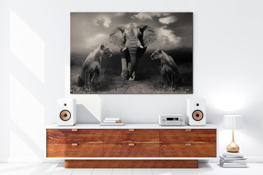 Tiere der Safarie Format: 80x60 als Leinwandbild, Motiv fertig gerahmt auf Echtholzrahmen, Hochwerti