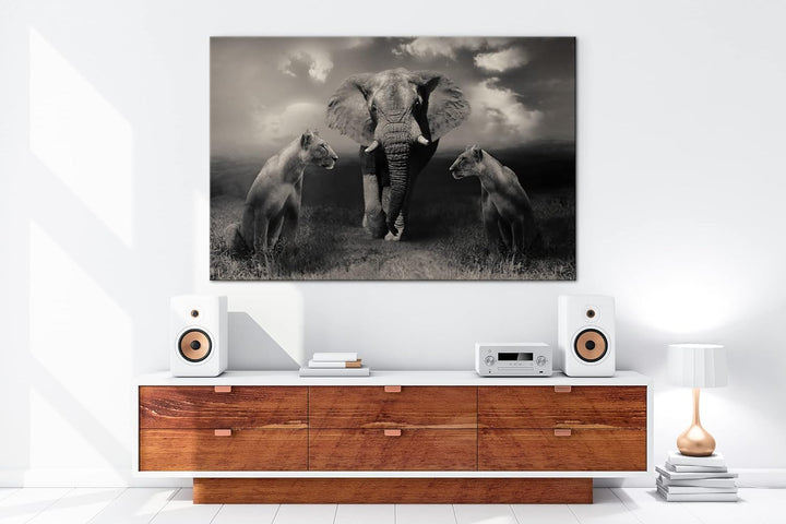 Tiere der Safarie Format: 80x60 als Leinwandbild, Motiv fertig gerahmt auf Echtholzrahmen, Hochwerti