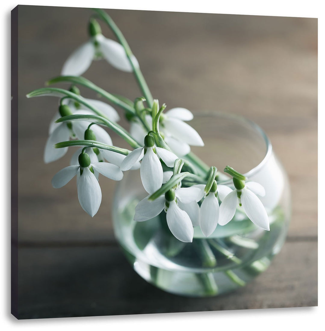 Pixxprint Schneeglöckchen in der Vase als Leinwandbild/Grösse: 70x70 cm/Wandbild/Kunstdruck/fertig b
