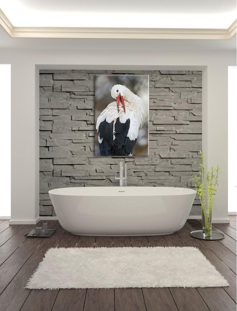 Pixxprint Storch putzt Sich auf Leinwand, XXL riesige Bilder fertig gerahmt mit Keilrahmen, Kunstdru