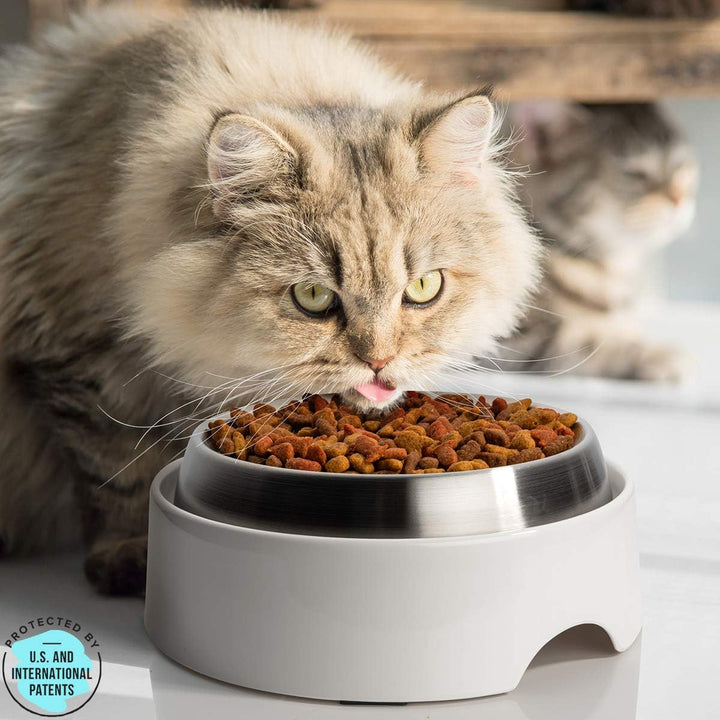 CatGuru Futtertisch für Katzennapf, rutschfeste Haustier-Futterstation für Katzenfutternäpfe, erhöht