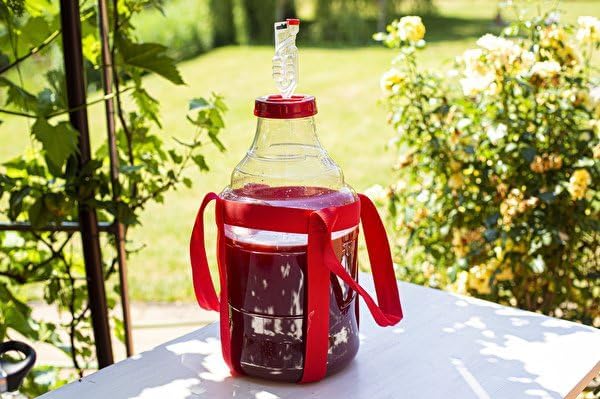 lilawelt24 10 L Gärballon Weinballon Gärbehälter Flasche Weithalsballon Gummistopfen