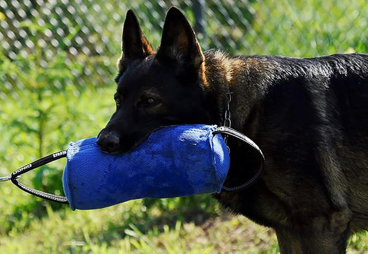 Dingo Gear Beisswurst,Berta'' mit 2 Griff #14cm Länge 30 cm aus französischem Material (Nylcott) für