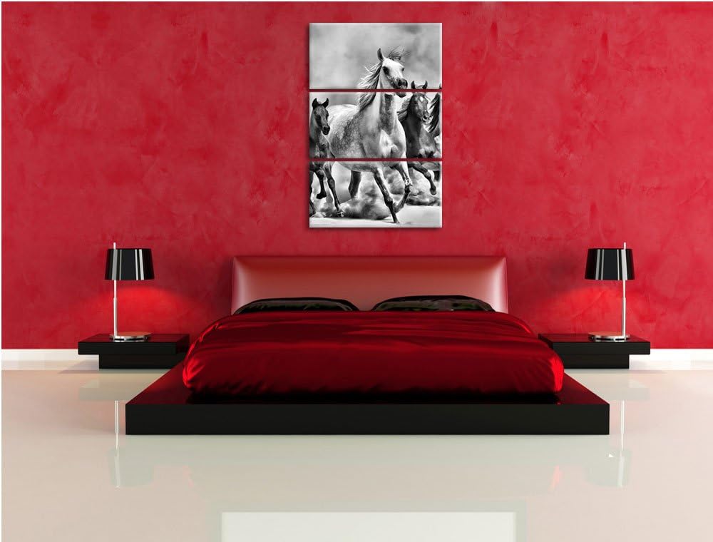 Pixxprint Western Pferde Fohlen / 3-Teilig/Gesamtmass 120cm Leinwandbild bespannt auf Holzrahmen/Wan