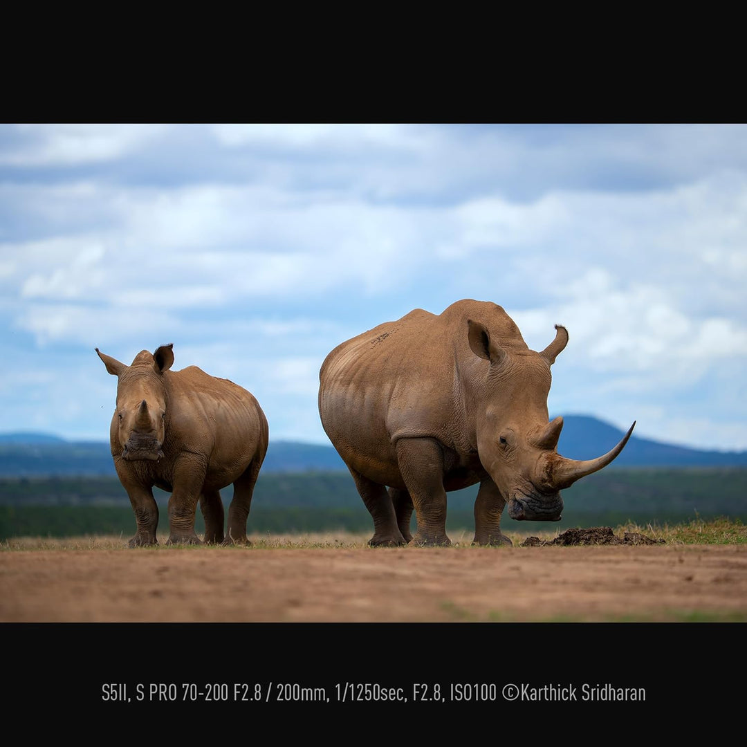 Panasonic S-E70200E LUMIX S PRO Objektiv (70-200mm, F2.8, Staub, Spritzwasser und Kälteresistent) Sc