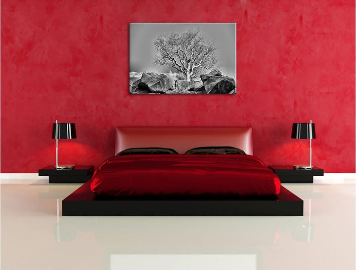 Pixxprint einsamer Baum im Gebirge / 100x70cm Leinwandbild bespannt auf Holzrahmen/Wandbild Kunstdru