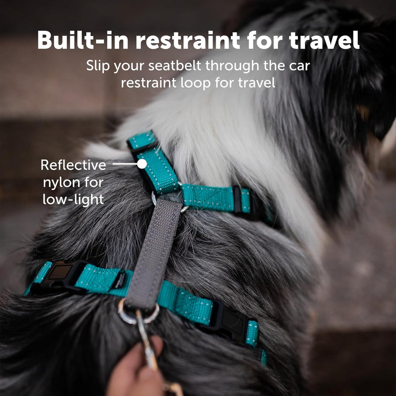 PetSafe 3in1 Harness, from The Makers of The Easy Walk Harness, Fully Adjustable No-Pull Dog Harness