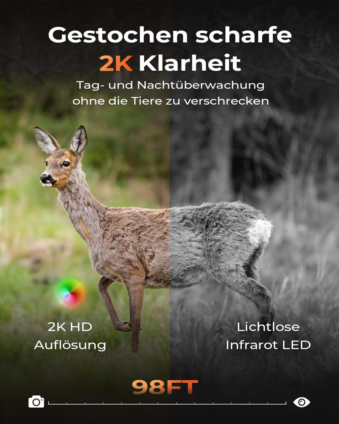 4G LTE Wildkamera mit SIM Karte, Solar Wildkamera mit Handyübertragung APP mit PIR Präziser Personen