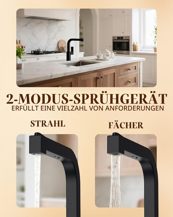 APPASO Wasserhahn Küche Schwarz, Küchenarmatur Ausziehbar Hochdruck, Mischbatterie 360° Drehbar mit