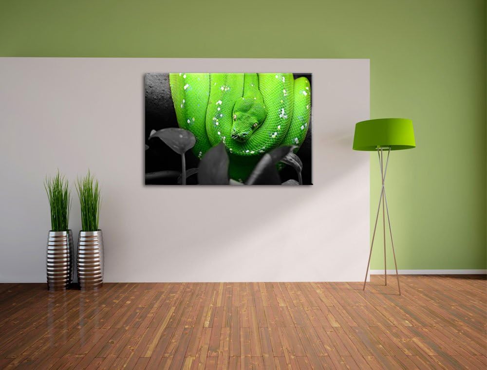 Giftige Grüne Schlange schwarz/weiss Format: 100x70 auf Leinwand, XXL riesige Bilder fertig gerahmt