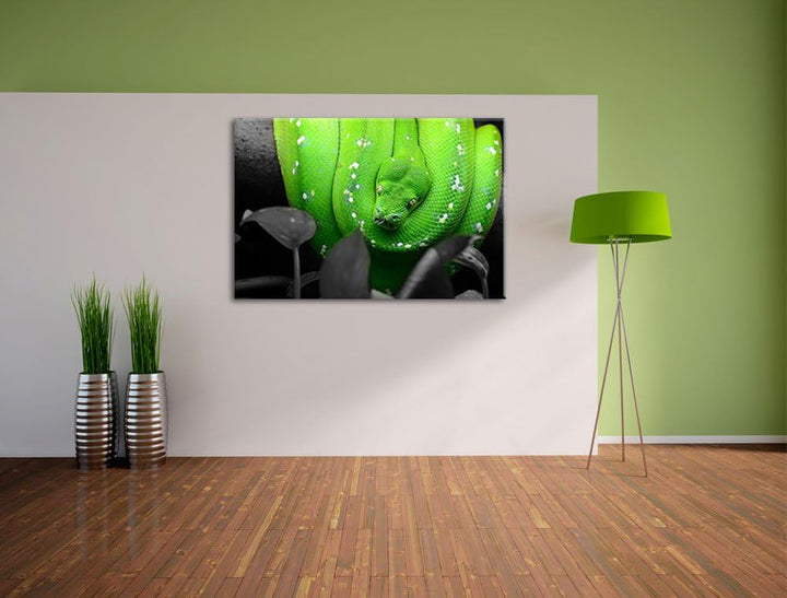 Giftige Grüne Schlange schwarz/weiss Format: 100x70 auf Leinwand, XXL riesige Bilder fertig gerahmt