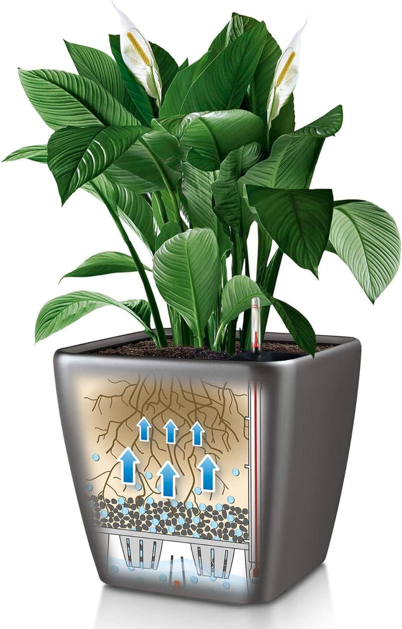 LECHUZA QUADRO Premium LS 28 anthrazit metallic 16143 28x28x26 cm Anthrazit Metallic, 28x28x26 cm An