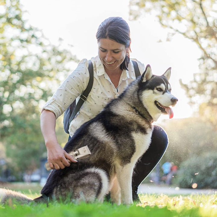 VSSHE Hundeschermaschine,Leise Schermaschine Hund und Katze Mit 2 Geschwindigkeiten Wiederaufladbare
