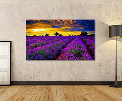 islandburner Bild Bilder auf Leinwand Lavendelfeld V4 Lavendel Provence 1p XXL Poster Leinwandbild W