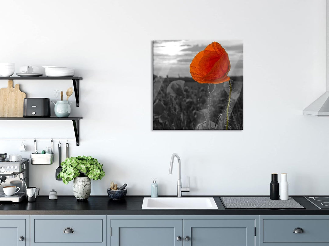 Pixxprint Glasbild | Wandbild auf Echtglas | Mohnfeld | 40x40 cm | inkl. Aufhängung und Abstandshalt