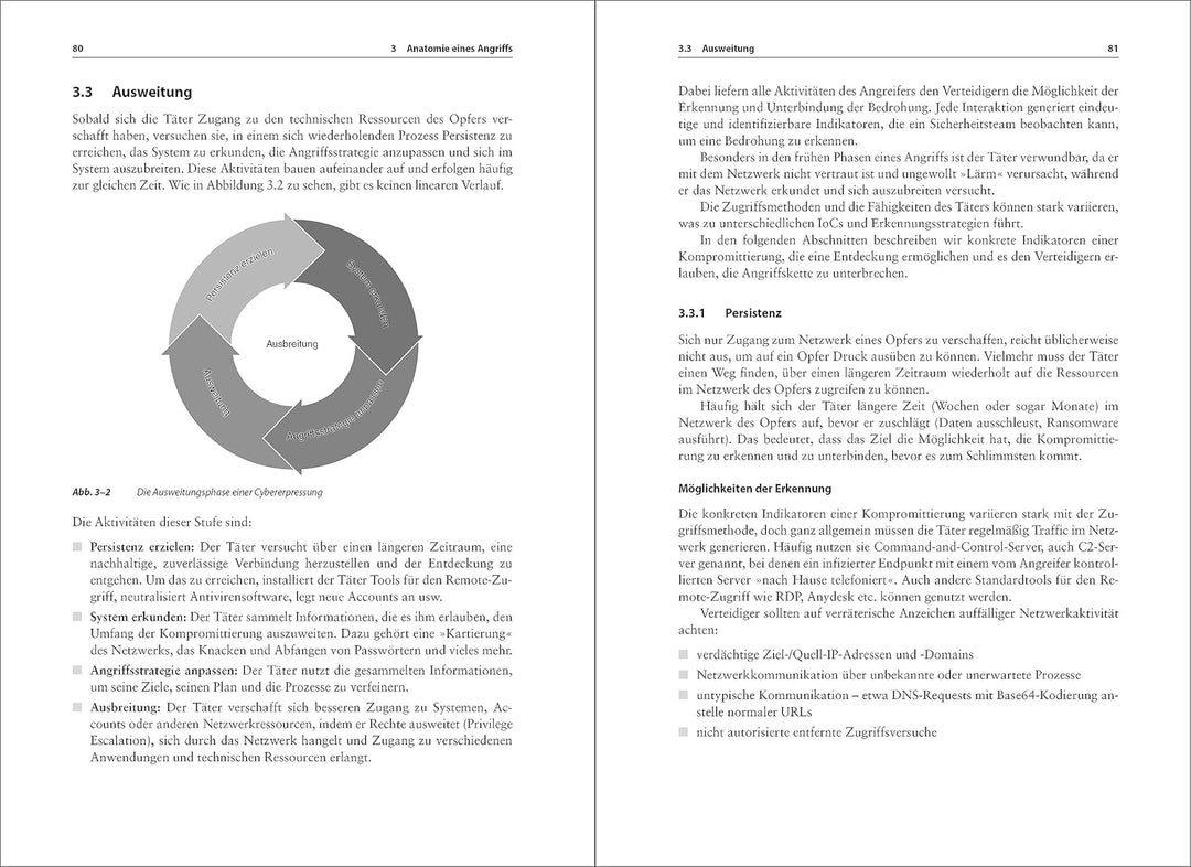 Ransomware und Cyber-Erpressung: Das Praxishandbuch für IT- und Systemverantwortliche, Paperback