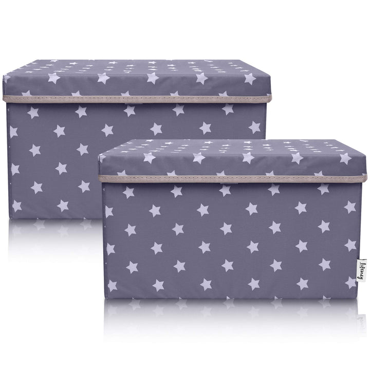LIFENEY 2-Set Aufbewahrungsbox Kinder (37x25x21cm) I Aufbewahrungskorb für Kinderzimmer und Wohnbere