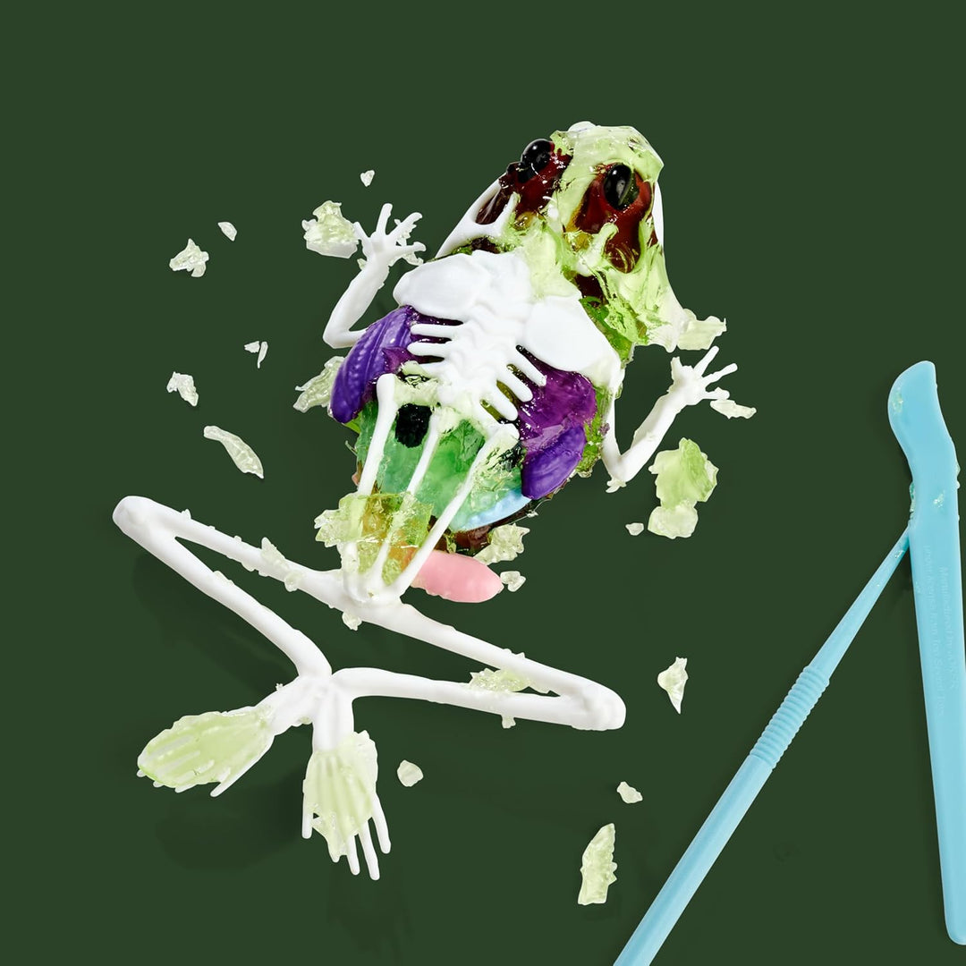 Simba Scout Dissect-It Frosch, zum Sezieren, 16cm, Skelett und Organe zum Zusammenbauen, Nachfüllset