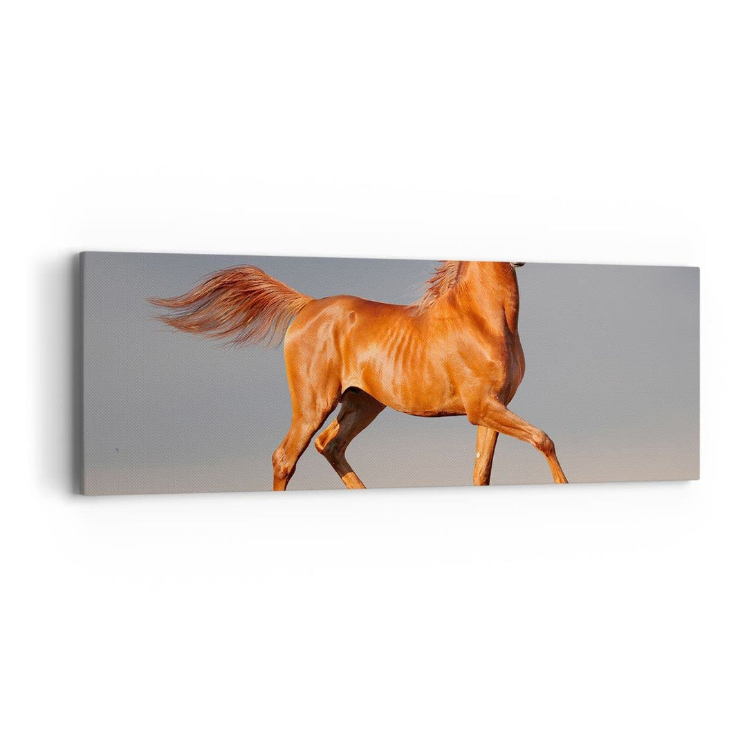 ARTTOR Bilder auf Leinwand Tiere Pferd Galopp Geschwindigkeit Leinwandbild 90x30cm Wandbilder Dekora