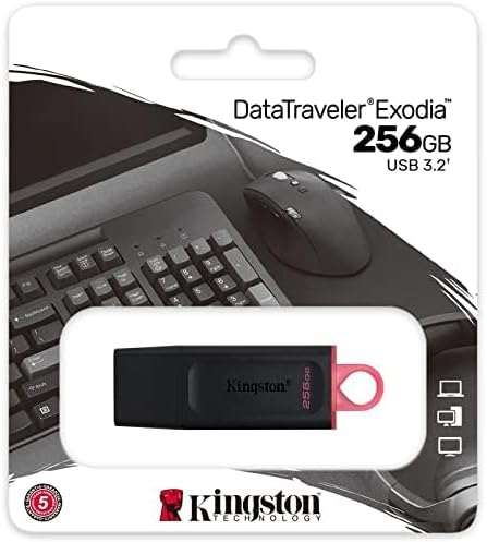 Kingston DataTraveler Exodia DTX/256GB USB-Stick 3.2 Gen 1 - mit Schutzkappe und Schlüsselring in me
