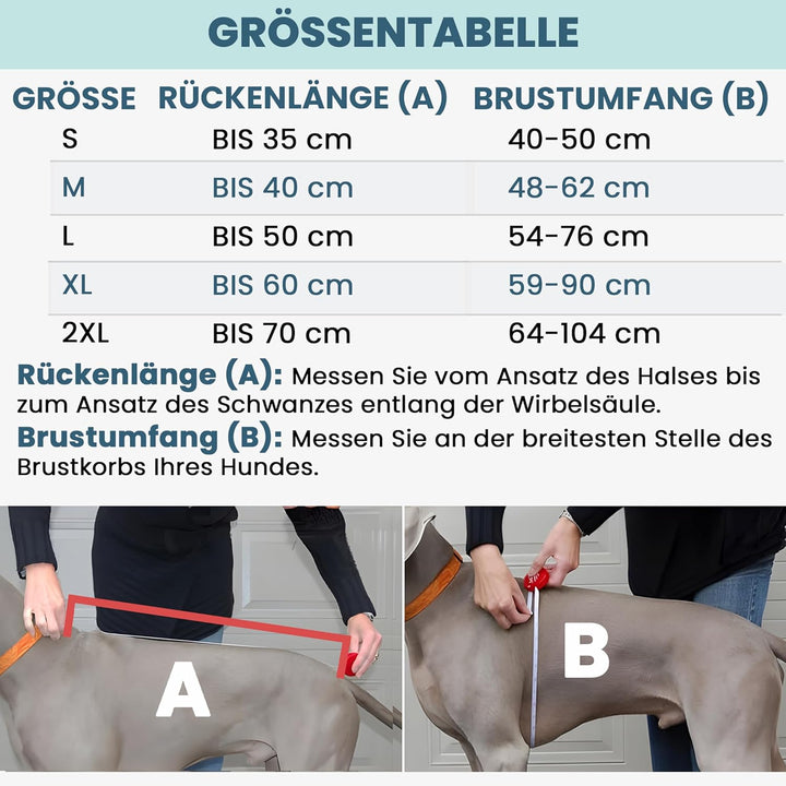 DOGOPAL Regenmantel Hund wasserdicht für kleine & grosse Hunde - Hunderegenmantel mit Reflektorstrei