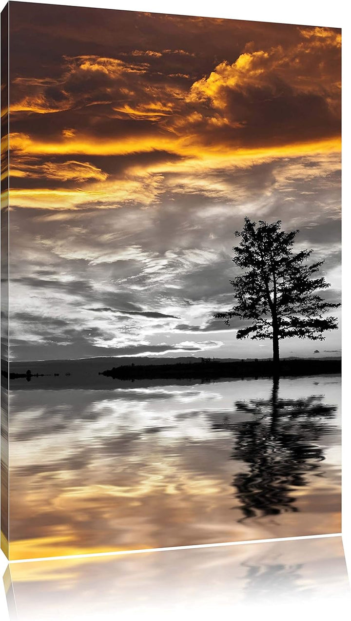 Pixxprint einsamer Baum auf Wiese als Leinwandbild/Grösse: 120x80 cm/Wandbild/Kunstdruck/fertig besp