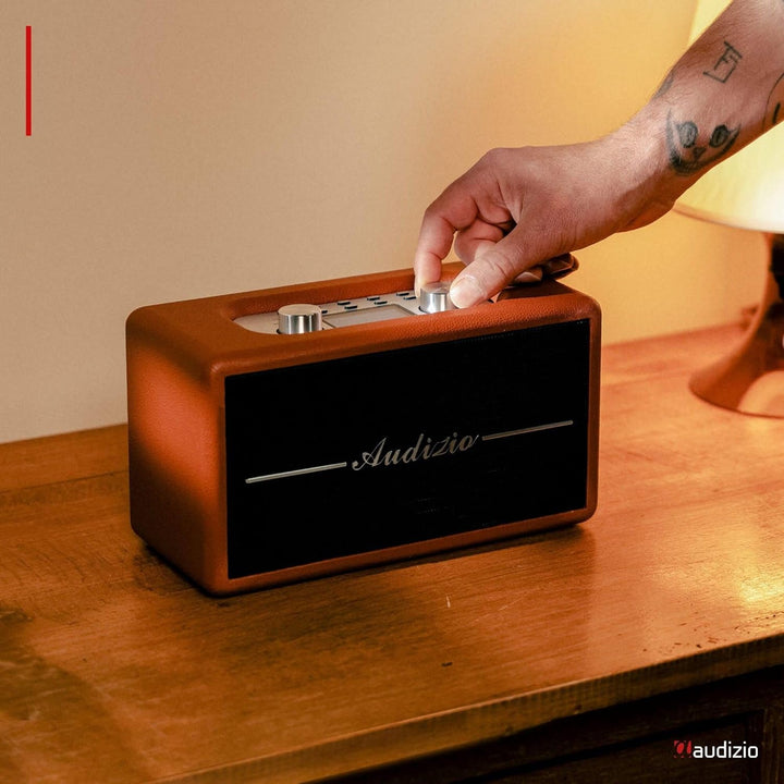 Audizio Tune60, DAB Radio mit Bluetooth Lautsprecher, Fernbedienung, FM, 40 Watt, Batterie- Netzbetr