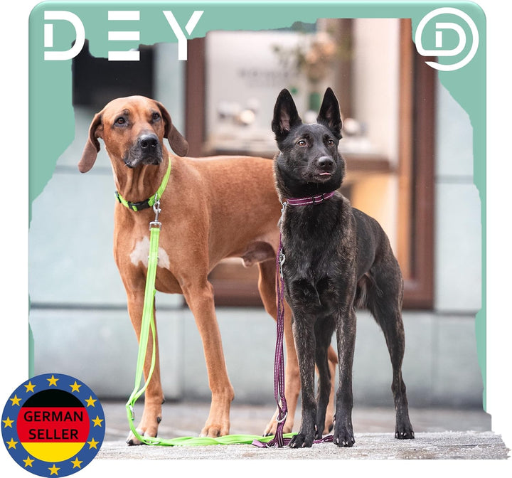 DEY - Premium Hundeleine Nylon 2m | Reflektierend | 3fach Verstellbar | für Kleine, Mittelgrosse u.