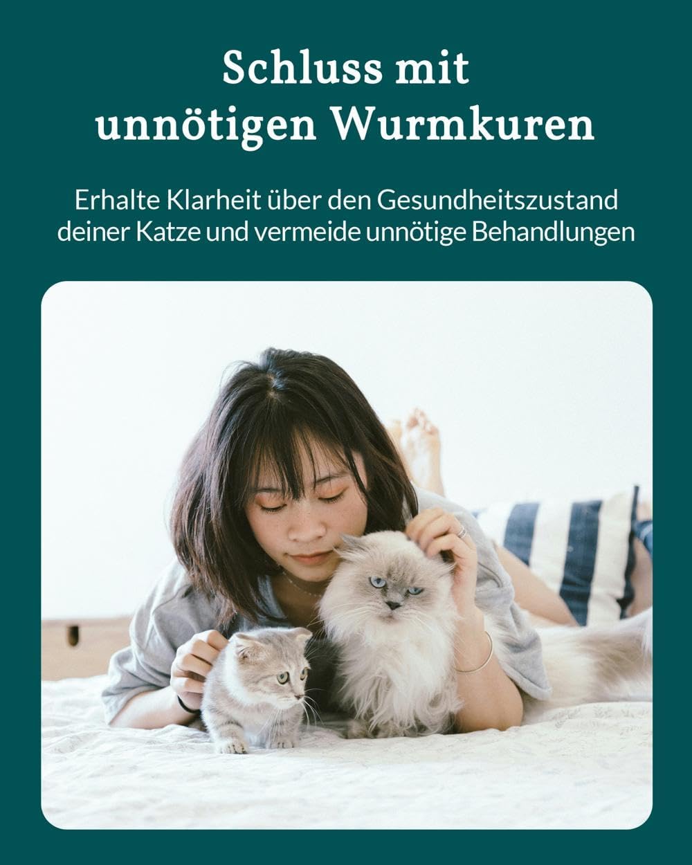 vetevo Giardientest Katze, Test auf Giardien Katze, bei Durchfall, Gewichtsverlust, Erbrechen & Appe