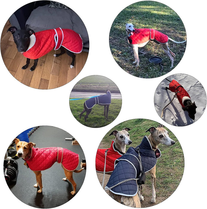 Geyecete - Windhund Warmer wintermantel, Hundemantel mit Dickes Steppfutter, verstellbaren Outdoor H