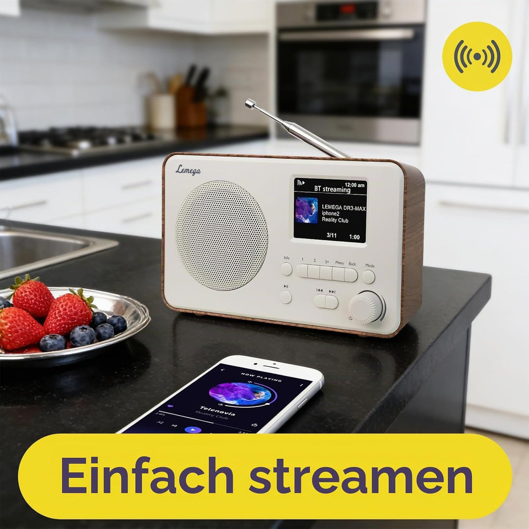 LEMEGA DR3-Max DAB/DAB+/UKW-Digitalradio – Bluetooth-Streaming, tragbares Radio mit 2,4-Zoll-Farbdis