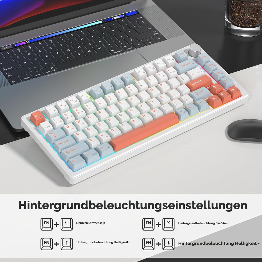 SOLIDEE Verkabelte Mechanische Gaming Tastatur 75 Prozent,hot-swap-fähige Mechanische Tastatur mit G
