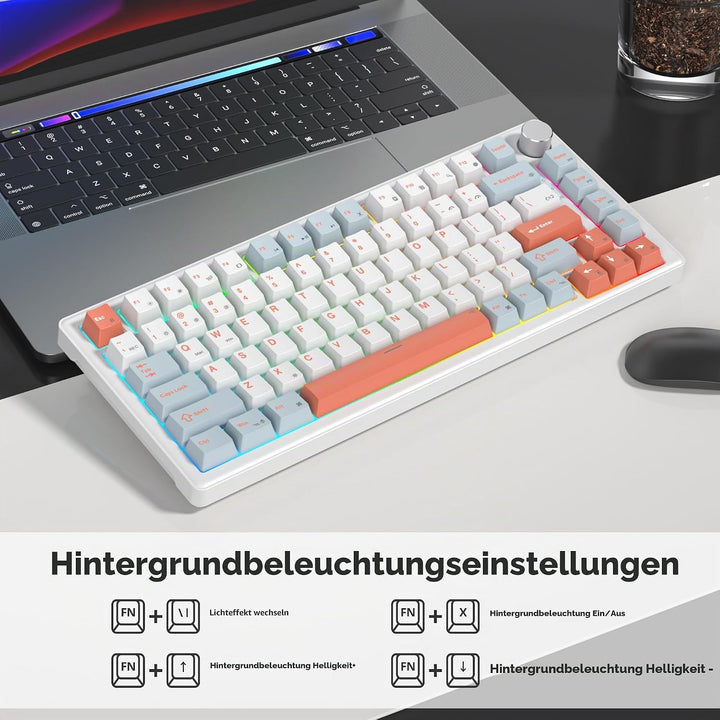 SOLIDEE Verkabelte Mechanische Gaming Tastatur 75 Prozent,hot-swap-fähige Mechanische Tastatur mit G