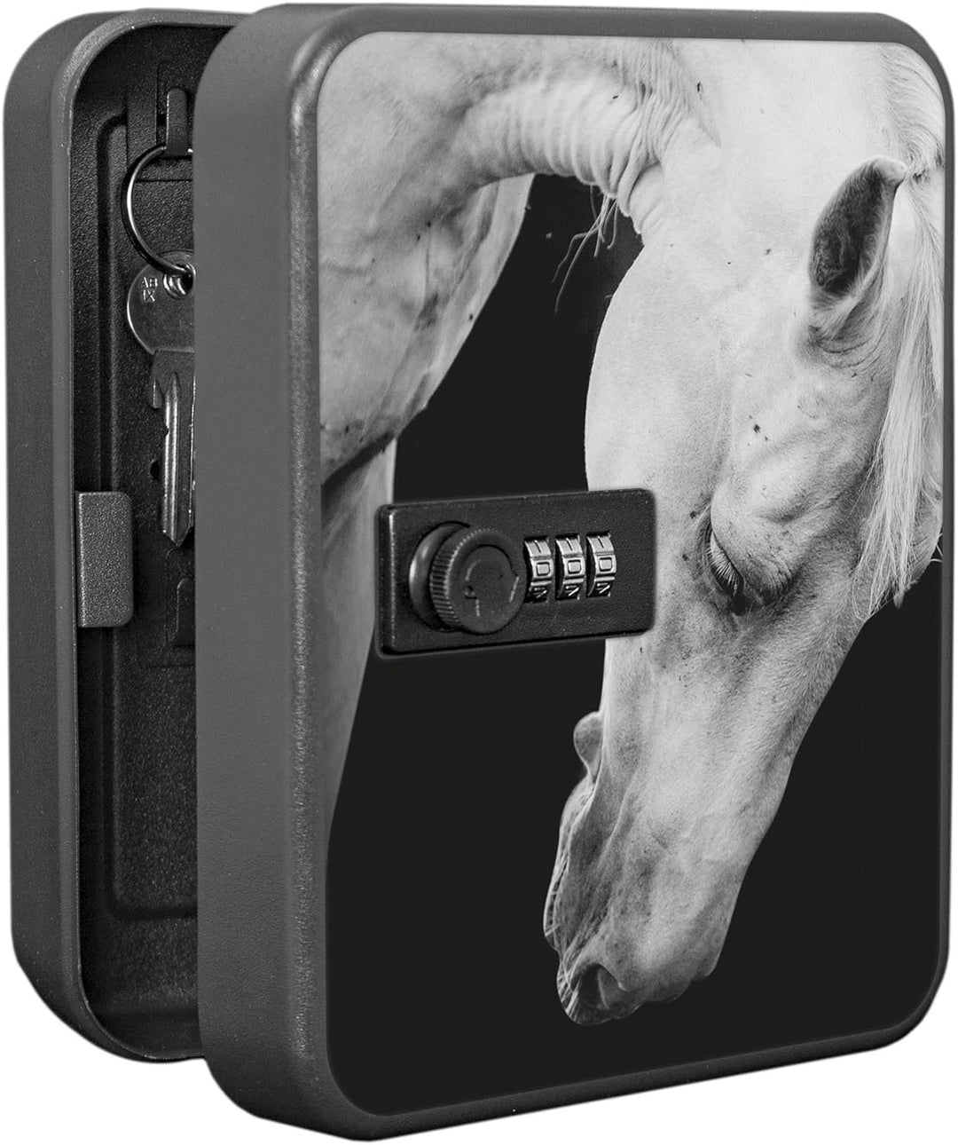 banjado® Burg-Wächter® abschliessbarer Schlüsselkasten mit Motiv Frederik für 20 Schlüssel - Schlüss