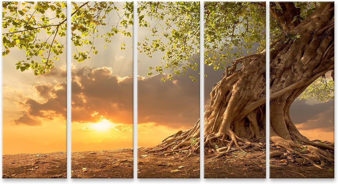 islandburner Leinwandbild Atemberaubender alter Baum vor einem malerischen Sonnenuntergang - Leinwan