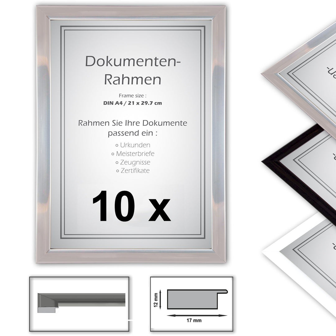 10 x Urkundenrahmen, DIN A4, 21x29,7 Fotorahmen, Bilderrahmen A4,Silber 10 X Silber, 10 X Silber