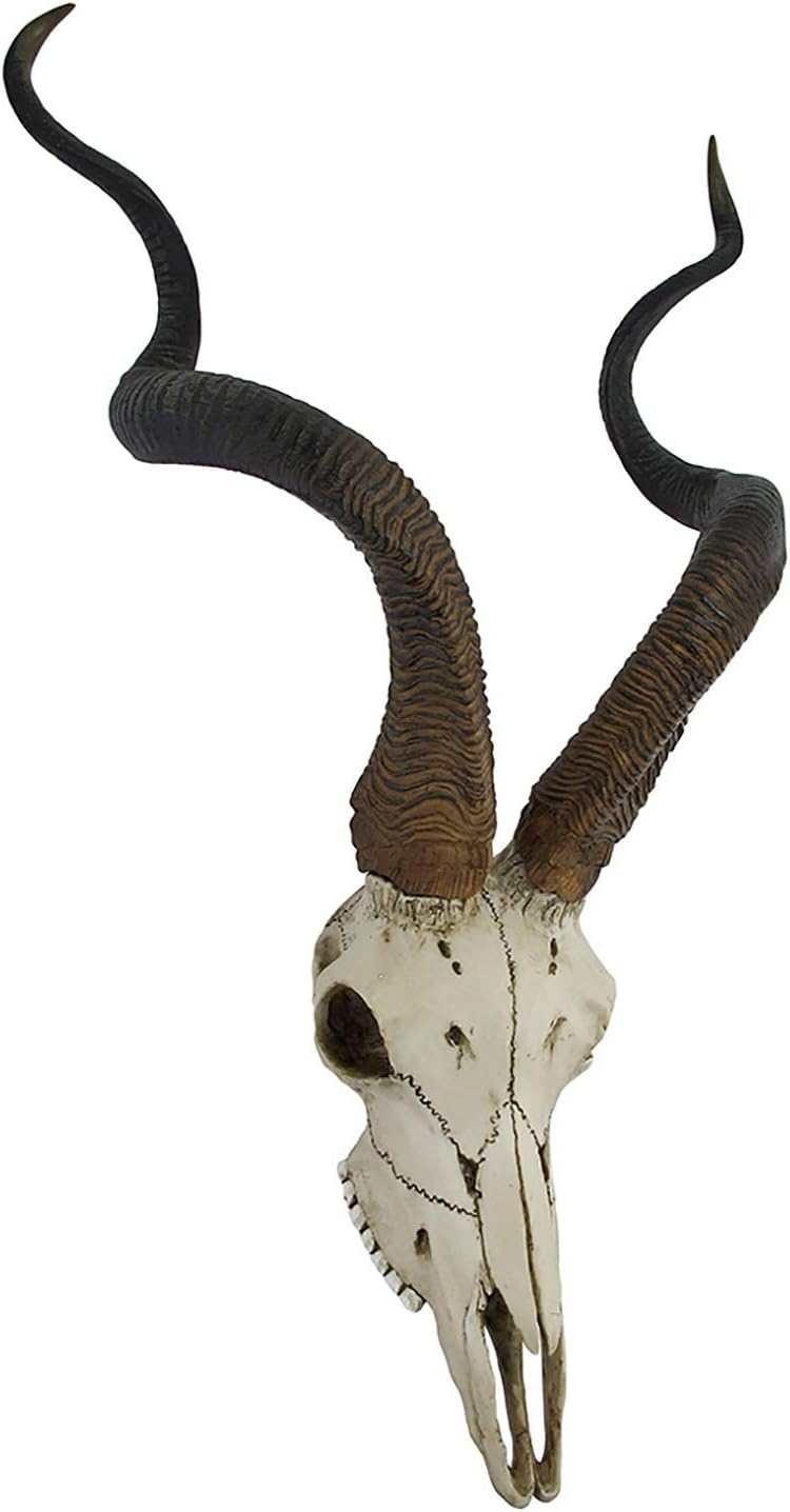 Things2Die4 african kudu antelope totenkopf wandsticker zum aufh?ngen cool twisted hörner Knochenfar