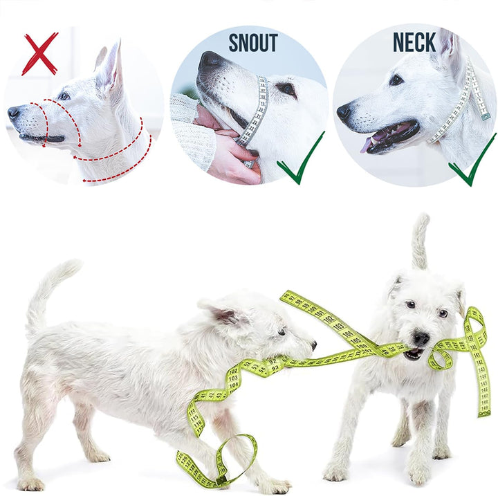 GoodBoy Halfter für Hunde, Nylon, Rosa, 2 Stück 2 Rosa Nylon / schwarze Polsterung, 2 Rosa Nylon / s
