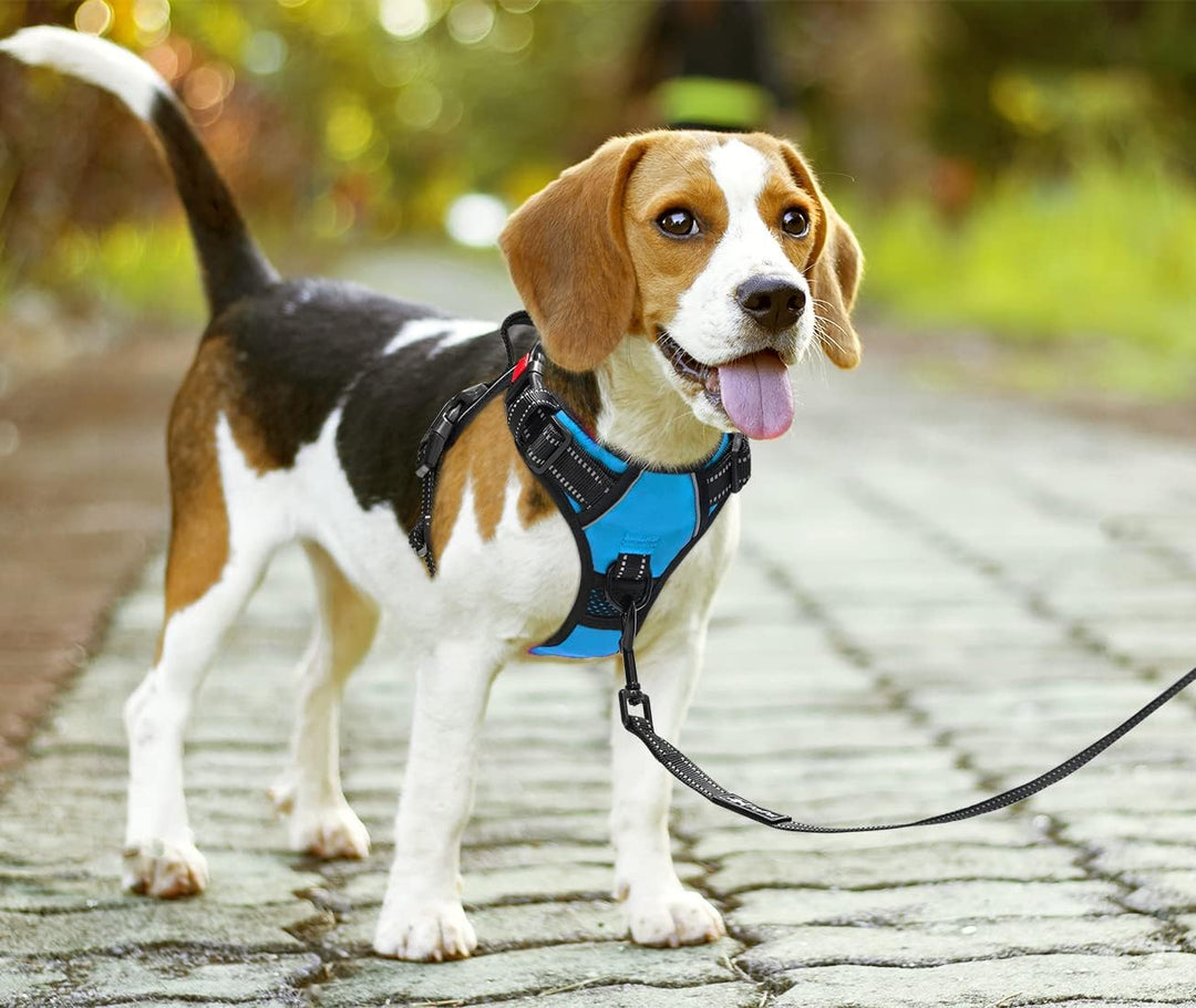 PoyPet Keine Pull Hundegeschirr Front Reflektierende Pet Weste für Hunde mit Einfache Kontrolle Grif